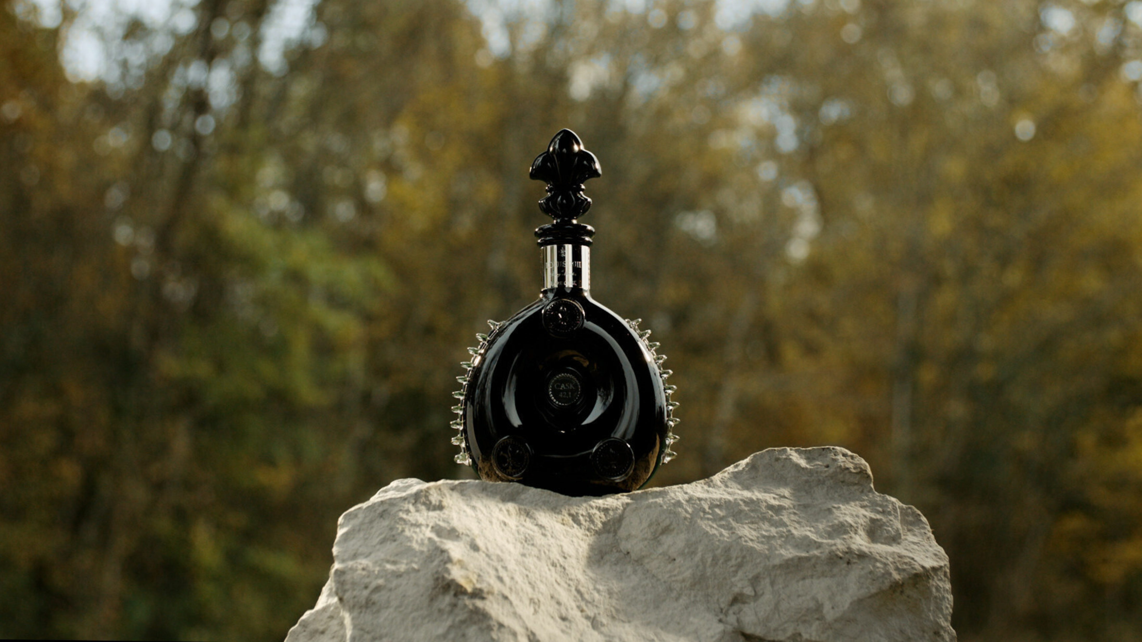 A black glass decanter of Louis XIII Rare Cask 42.1 cognac perched on a scraggly rock. In the background is a canopy of trees.